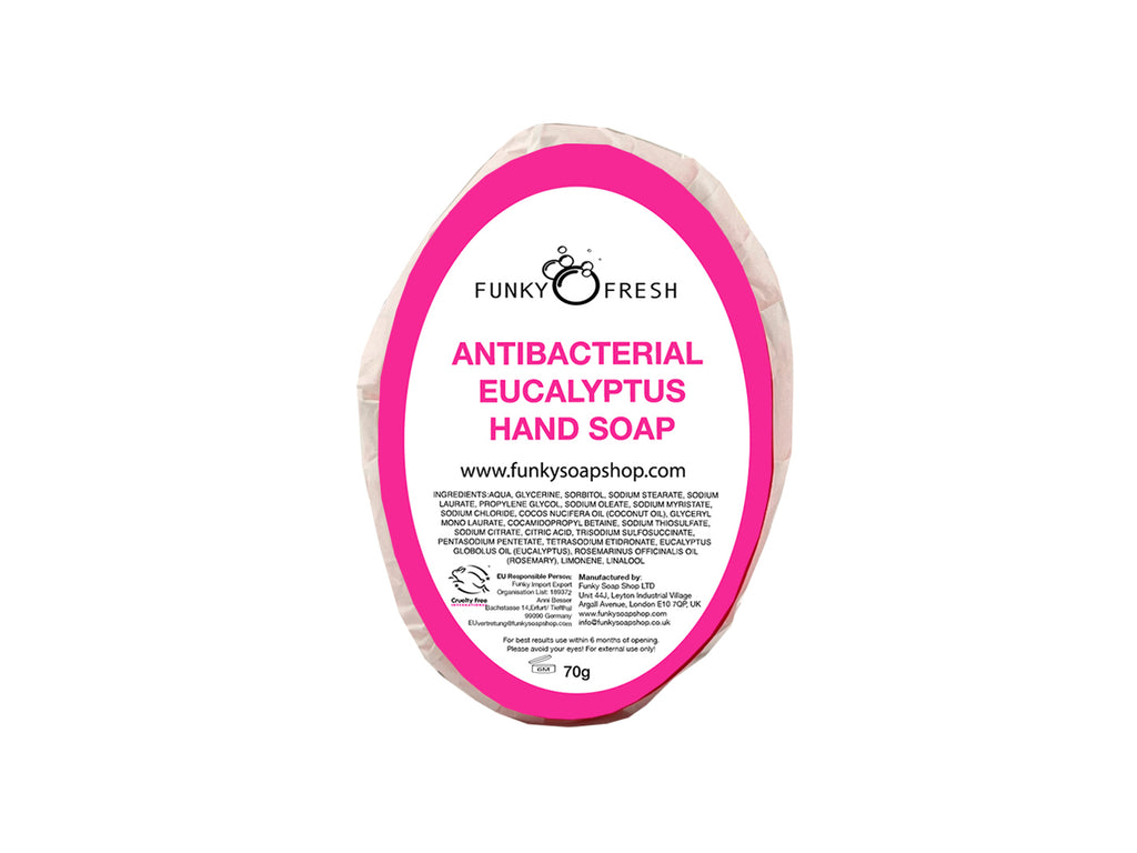Antibacterial Eucalyptus Hand Soap - Funky Soap Shop